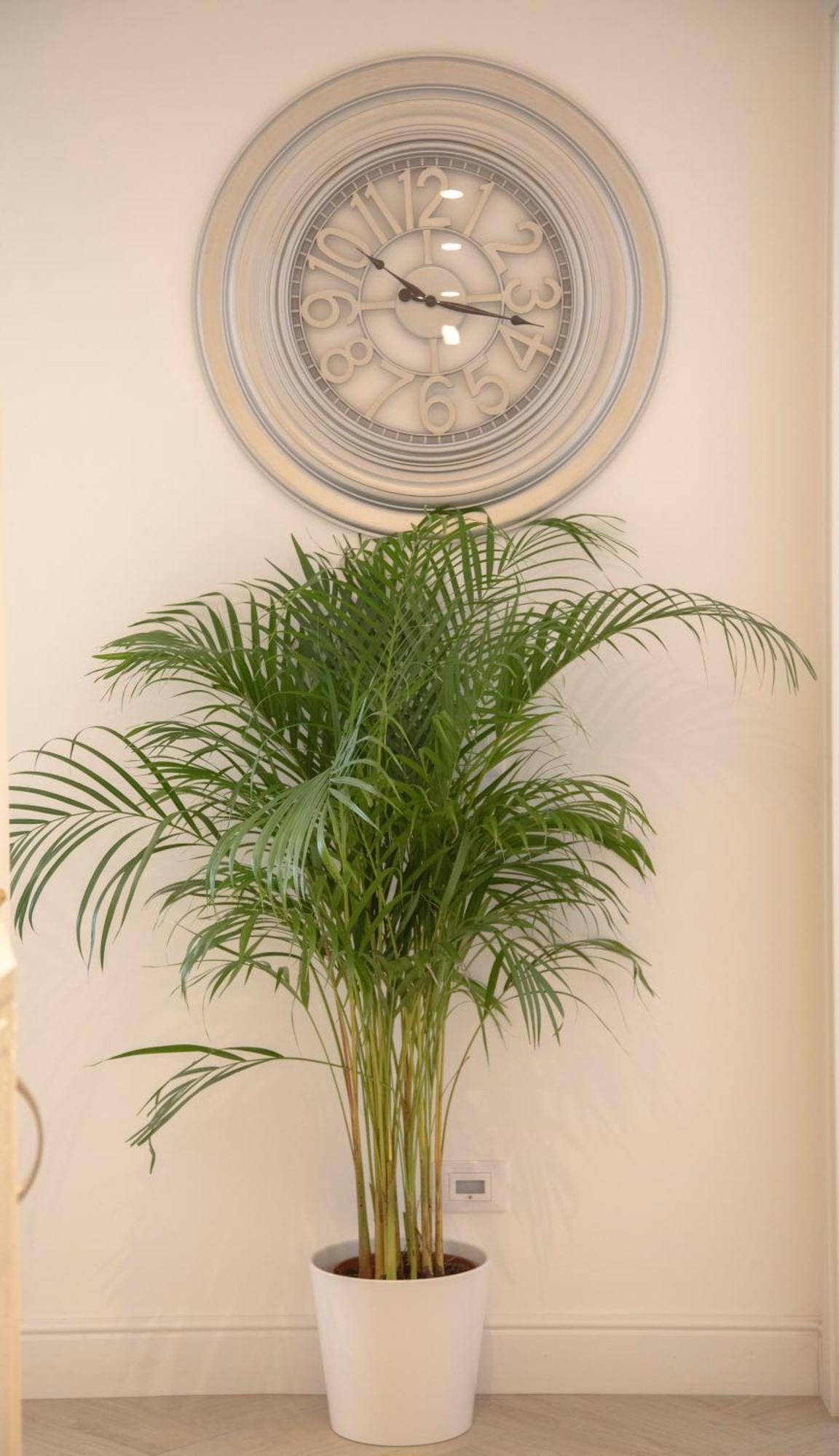 San Pietro Luxury Relais Couette-café Rome